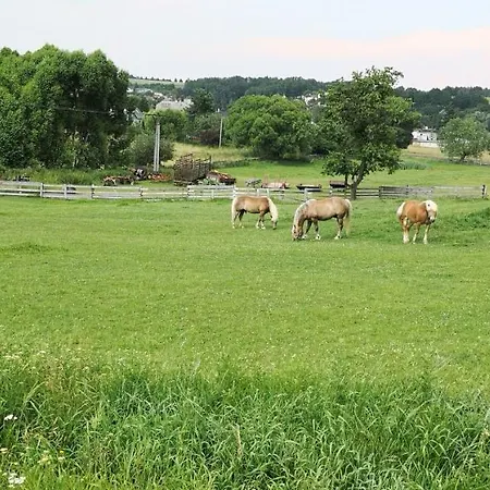 Apart-hotel Gerda Vřesina